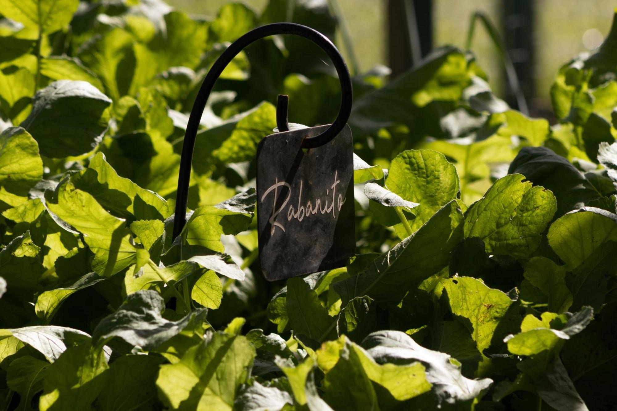 El Colibri - Relais & Chateaux Santa Catalina  ภายนอก รูปภาพ